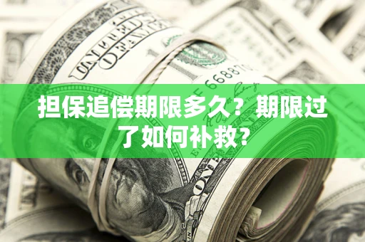 北京担保追偿期限多久？期限过了如何补救？