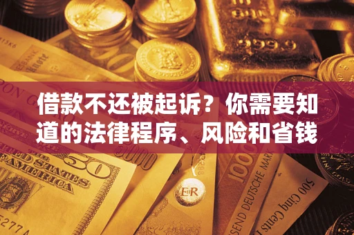 北京借款不还被起诉？你需要知道的法律程序、风险和省钱技巧